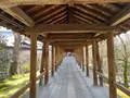 東福寺の写真_371371
