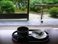 元離宮 二条城の写真_37161