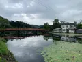 上野池の写真_372642