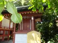 津島神社の写真_372919