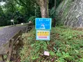 松山総合公園の写真_373686
