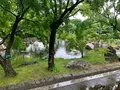 松山城二之丸史跡庭園の写真_376477