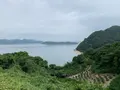 ところミュージアム大三島の写真_379105