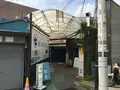 報国寺（竹寺）の写真_379464