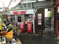 報国寺（竹寺）の写真_379466