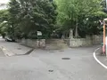 報国寺（竹寺）の写真_379689