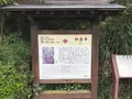 報国寺（竹寺）の写真_379767