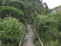 報国寺（竹寺）の写真_379770