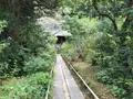 報国寺（竹寺）の写真_379771
