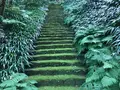 報国寺（竹寺）の写真_379776