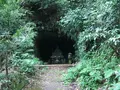 報国寺（竹寺）の写真_379777