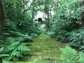 報国寺（竹寺）の写真_379781