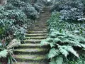 報国寺（竹寺）の写真_379782