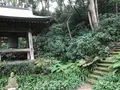 報国寺（竹寺）の写真_379783