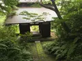 報国寺（竹寺）の写真_379784