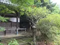 報国寺（竹寺）の写真_379789