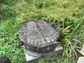 報国寺（竹寺）の写真_379790