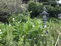 報国寺（竹寺）の写真_379805