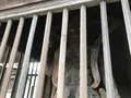 報国寺（竹寺）の写真_379830