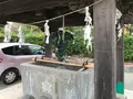 報国寺（竹寺）の写真_379902