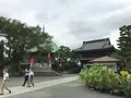 報国寺（竹寺）の写真_379904