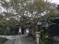 報国寺（竹寺）の写真_379905