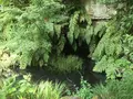 報国寺（竹寺）の写真_380087