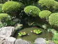 報国寺（竹寺）の写真_380266