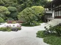 報国寺（竹寺）の写真_380272