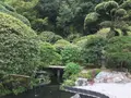報国寺（竹寺）の写真_380274