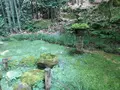 報国寺（竹寺）の写真_380289