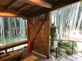 報国寺（竹寺）の写真_380310
