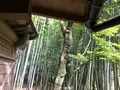 報国寺（竹寺）の写真_380312