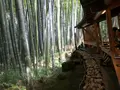 報国寺（竹寺）の写真_380314