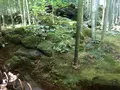 報国寺（竹寺）の写真_380317