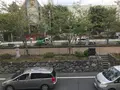 報国寺（竹寺）の写真_380346