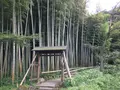 報国寺（竹寺）の写真_380386