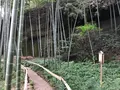 報国寺（竹寺）の写真_380396