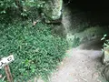 報国寺（竹寺）の写真_380642