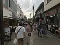 報国寺（竹寺）の写真_380667