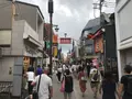 報国寺（竹寺）の写真_380672