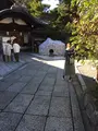 安井金比羅宮の写真_384069