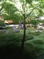 建仁寺の写真_384101