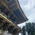 日光東照宮の写真_384161