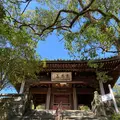 聖福寺の写真_387003