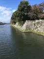 彦根城の写真_390639