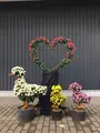 神奈川県立花と緑のふれあいセンター 花菜ガーデンの写真_391868