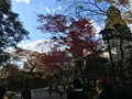 日光東照宮の写真_396060