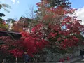 日光東照宮の写真_396063
