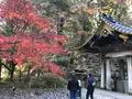 日光東照宮の写真_396105
